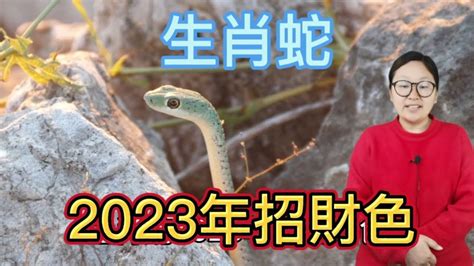 蛇適合什麼顏色|蛇年必知：5種顏色助你2024年好運連連